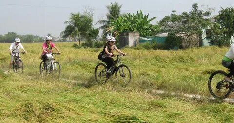 'Hành trình hạnh phúc' của Saigon Co.op lan tỏa niềm tự hào quê hương_tối ưu hóa video YouTube cho SEO